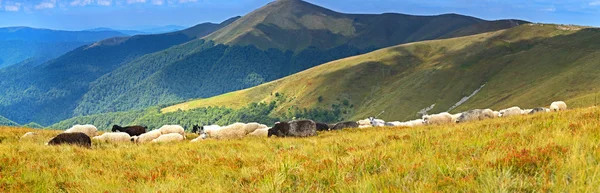 Berglandschap — Stockfoto