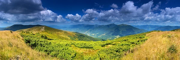 polonyna kırmızı
