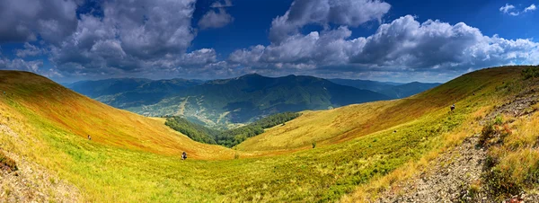 Полонина Красная — стоковое фото