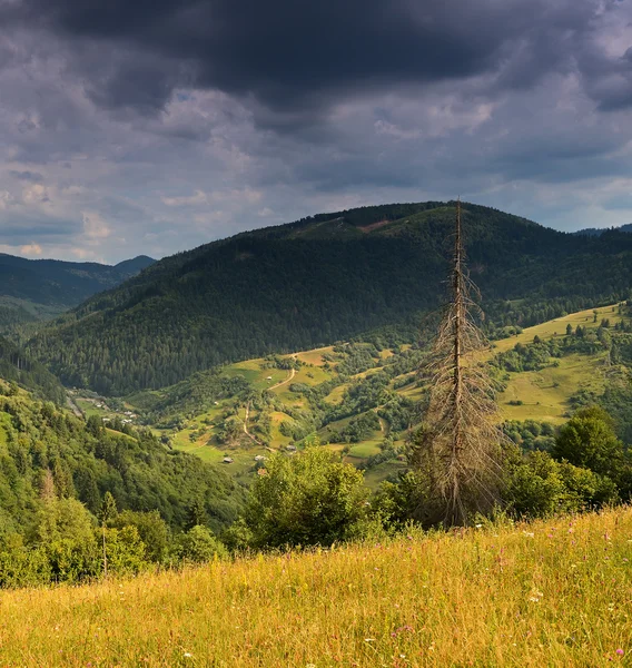 Borschawskogo-Gebirge. — Stockfoto