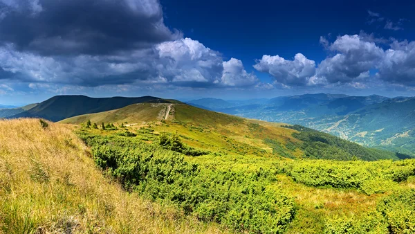 Polonyna kırmızı — Stok fotoğraf