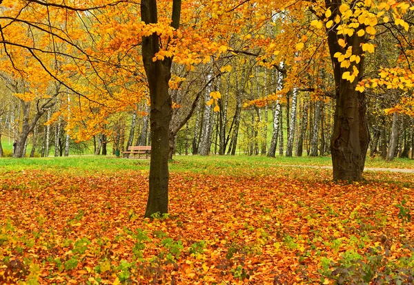 Autumn — Stock Photo, Image