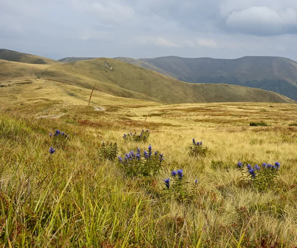 Paisagem montesa — Fotografia de Stock