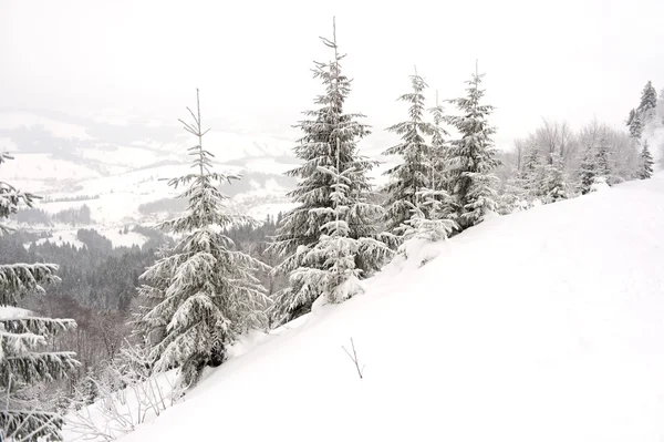 Berglandschaft — Stockfoto