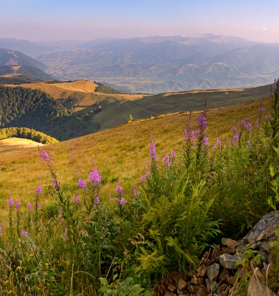 Berglandschap — Stockfoto