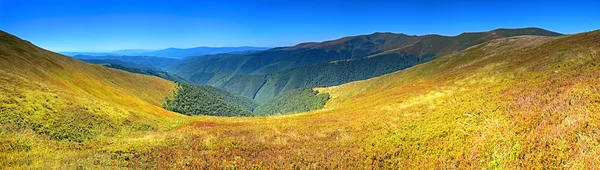 borzhavskogo aralığı.