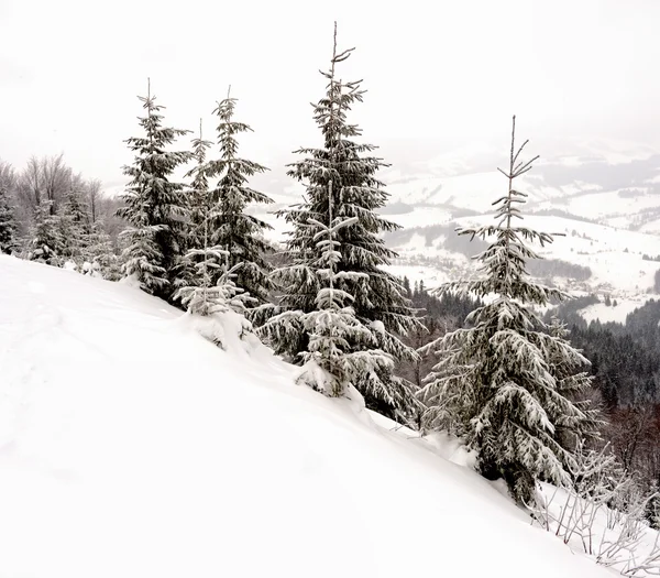 Berglandschaft — Stockfoto