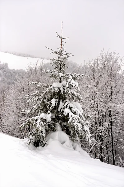 Berglandschaft — Stockfoto