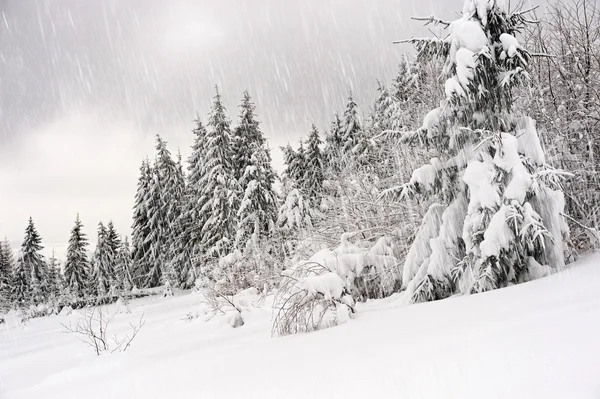 Bergslandskap — Stockfoto