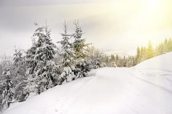 Bergslandskap — Stockfoto