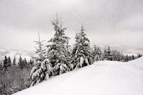 Berglandschaft — Stockfoto