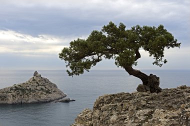 sonbahar deniz