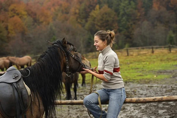 The girl speaks with the Horse — Stock Photo, Image