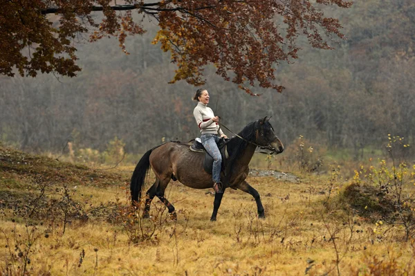 Turismo equestre nos Cárpatos — Fotografia de Stock