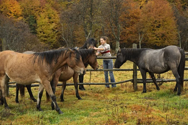 At kızı konuşuyor — Stok fotoğraf