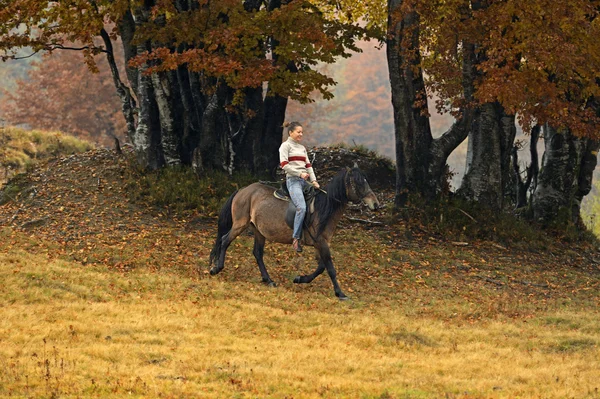 Turismul ecvestru în Carpați — Fotografie, imagine de stoc