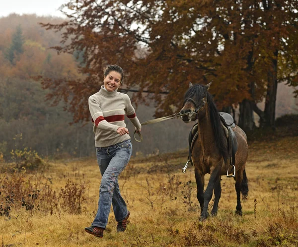 Karpatlar atlı turizm Stok Resim