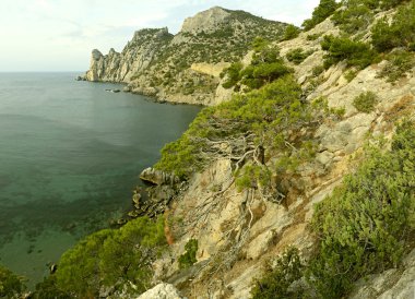 Kırım coast seyahat
