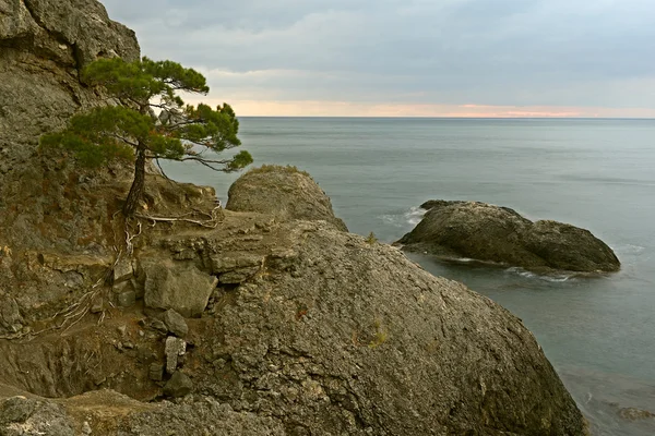 Viaggiare sulla costa di Crimea — Foto Stock