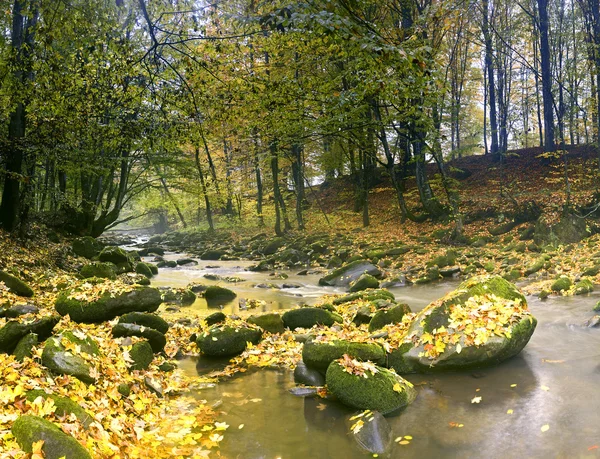O rio de montanha em floresta de outono — Fotografia de Stock