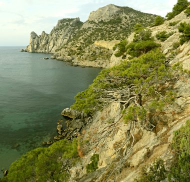 Kırım coast seyahat