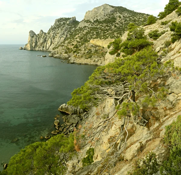 Viaggiare sulla costa di Crimea — Foto Stock