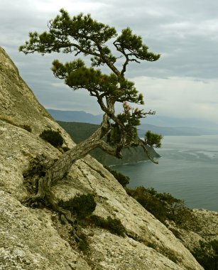 sonbahar deniz