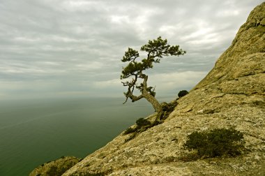 sonbaharda yürüyüş Kırım
