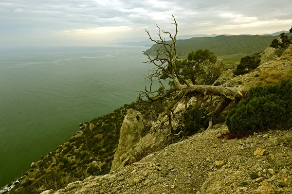 Walking in the autumn Crimea — Stock Photo, Image