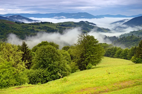 Paysage printanier en montagne Carpates — Photo