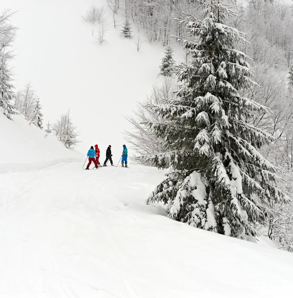 Passeggiata sugli sci in montagna Carpazi — Foto Stock