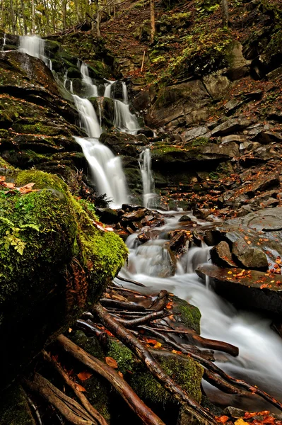 Procházka podzimní park podzim — Stock fotografie