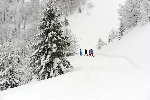 Ski walk in mountains Carpathians — Stock Photo, Image