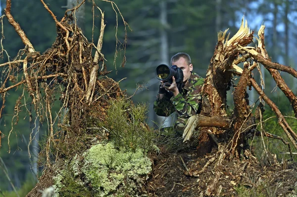 Photographer animal painter in the woods — Stock Photo, Image