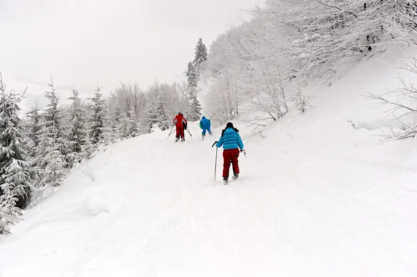 Ski walk in mountains Carpathians — Stock Photo, Image