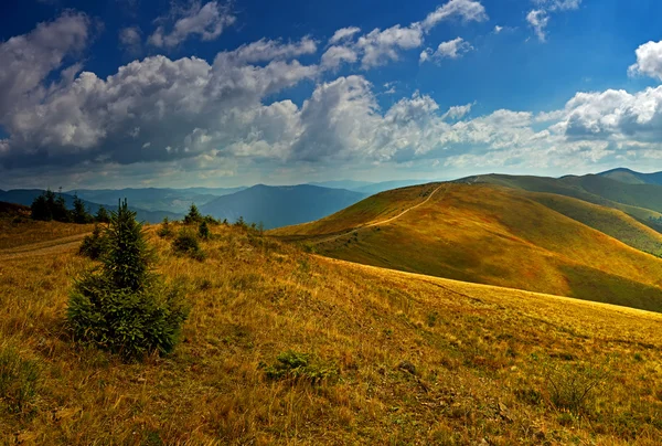 Travel along the ridge in summer — Stock Photo, Image