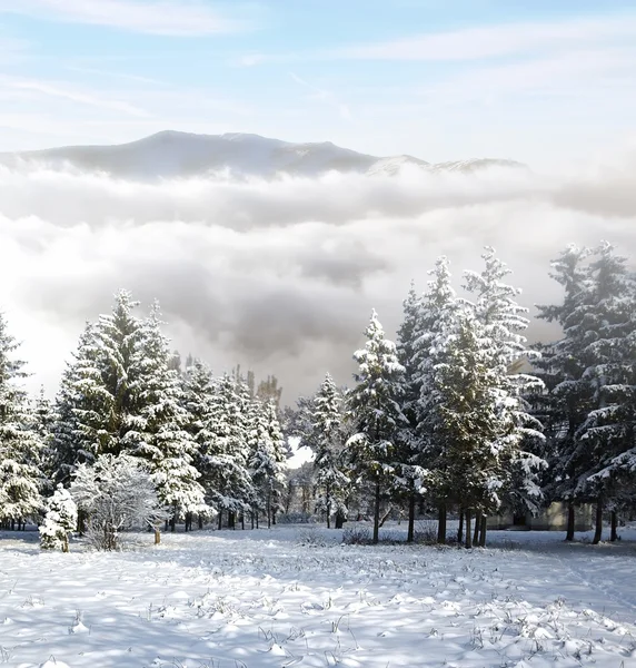 Una giornata gelida è in montagna — Foto Stock