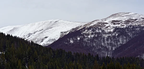 Landscape — Stock Photo, Image