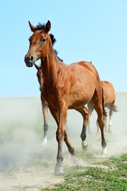 at