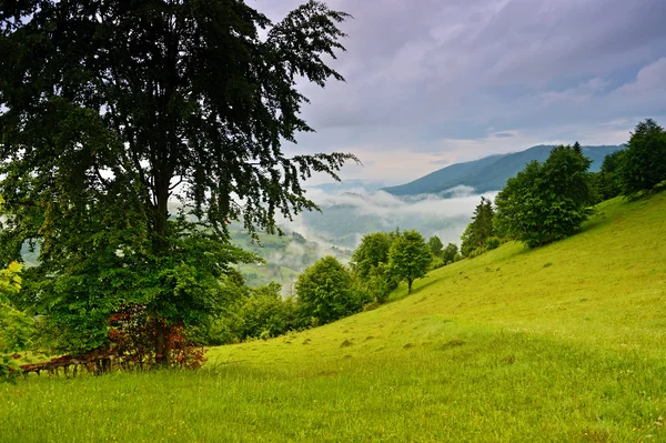 Reisen auf Bergrücken im Frühling — Stockfoto