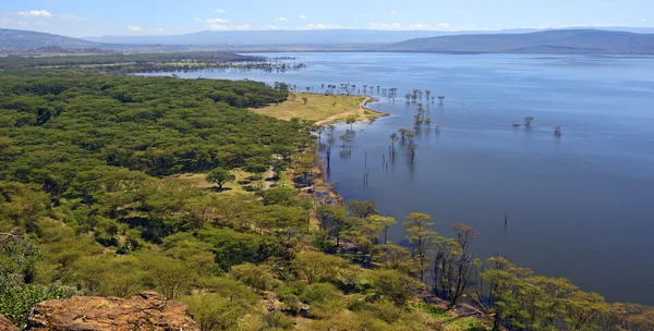 Lake Nakuru — Stock Photo, Image