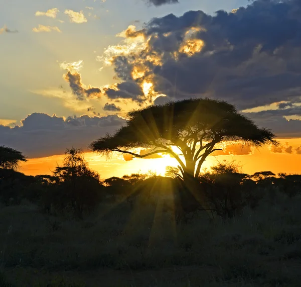 Afrikanische Landschaft — Stockfoto