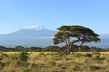 Amboseli Ulusal Parkı