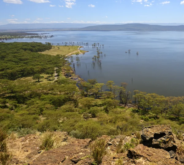 Lake Nakuru — Stock Photo, Image