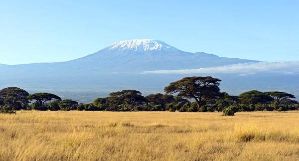 Parque nacional de Amboseli — Fotografia de Stock