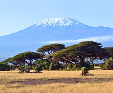 Amboseli Ulusal Parkı