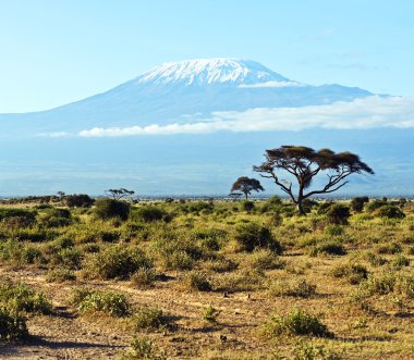 Amboseli Ulusal Parkı