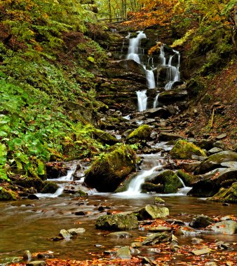 sonbahar park sonbaharda yürümek