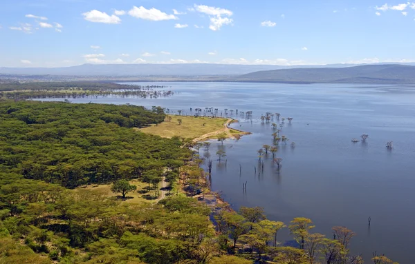 Lago Nakuru —  Fotos de Stock