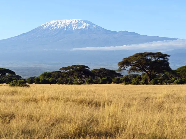 Amboseli Nationaalpark — Stockfoto